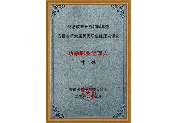 2019年 安徽国祯集团股份有限公司董事长李炜先生获评“功勋职业经理人”