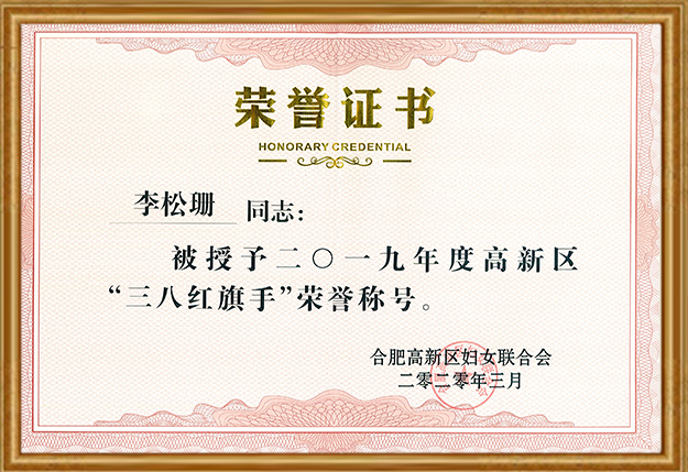 集团执行董事长李松珊女士获评合肥市高新区“三八红旗手”