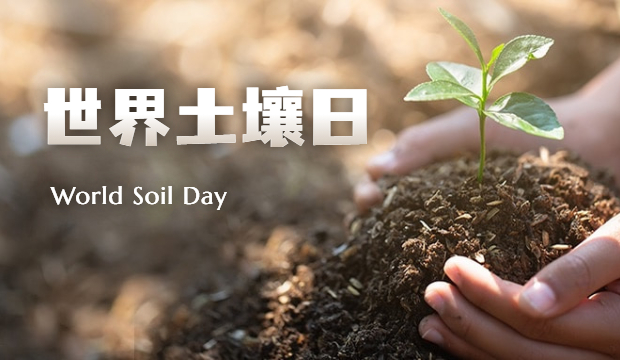 ​世界土壤日：国祯致良田——守护土壤公益行动项目纪实